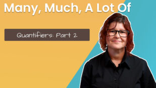 Quantifiers: Many, Much, A Lot Of